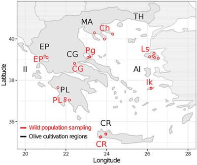 Wild and cultivated olive tree genetic diversity in Greece: a diverse resource in danger of erosion